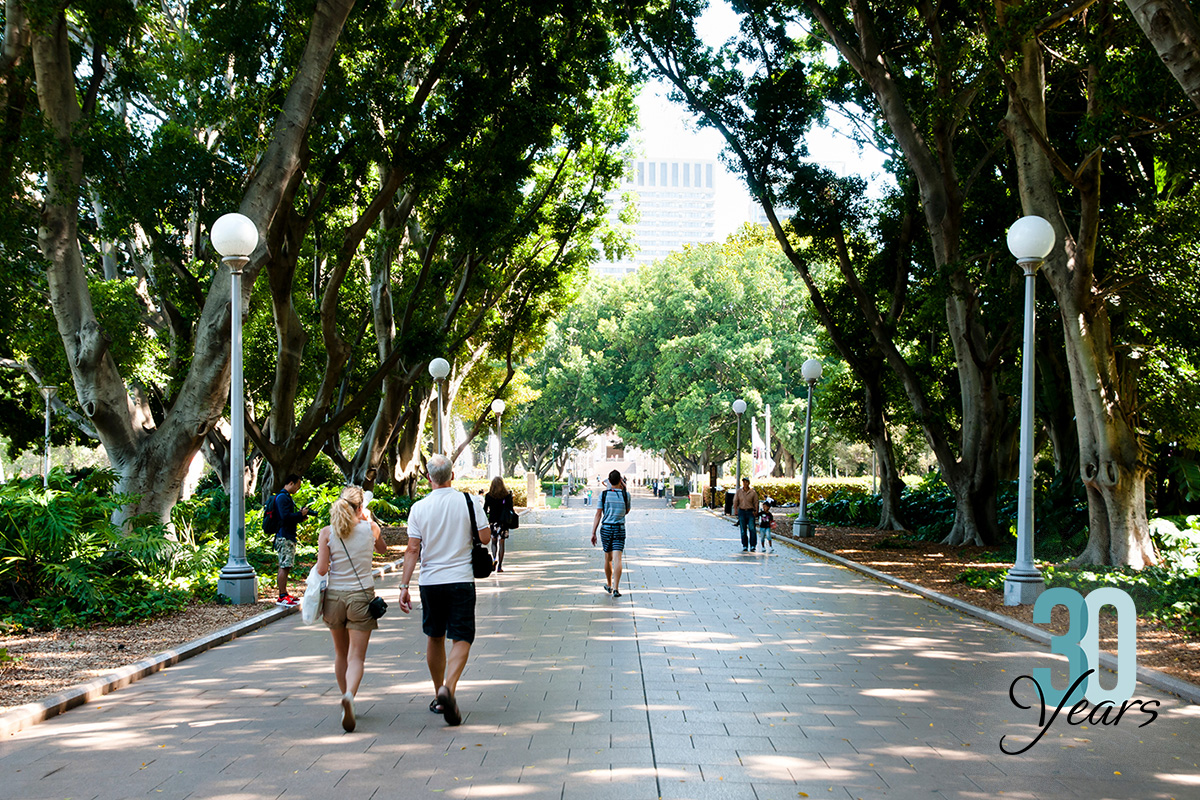 City park with paths and lighting